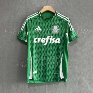Palmeiras Special Jersey PLAYER Version