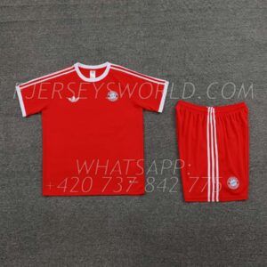 Bayern Munich Adidas Originals T-Shirt Set