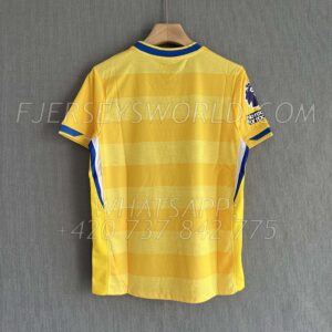 Brighton & Hove Albion Away 24-25 FAN Version