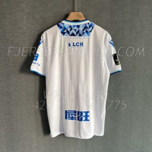 AJ Auxerre Home 24-25 FAN Version