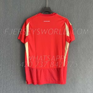 Al Ahly Home 24-25 FAN Version