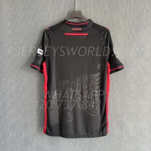 Albania Third 25-26 FAN Version