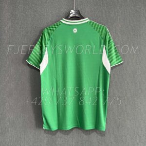 Newcastle United Away 25-26 FAN Version