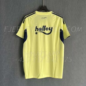 Fenerbahçe Away 25-26 FAN Version