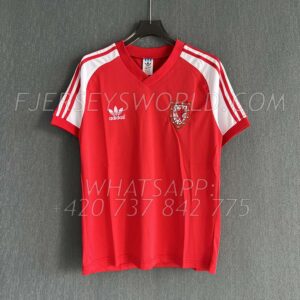 Wales Home 1982 RETRO