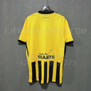 AEK Athens Home 2025-26 FAN Version
