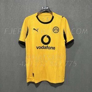 Dortmund Cup Kit 25-26 FAN Version