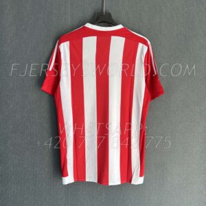 Southampton Home 2015-16 FAN Version