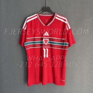 Wales Home 2026 FAN Version