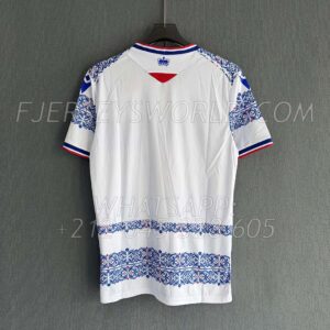 Reading FC Home 25-26 FAN Version