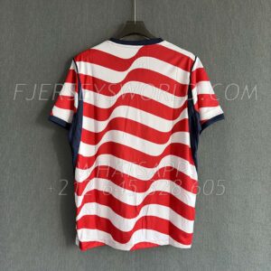USA Home 2026 FAN Version