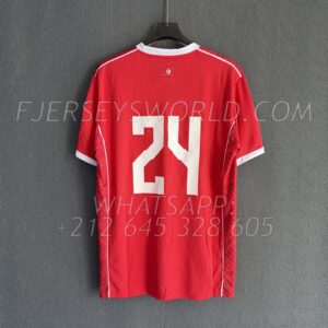 Tunisia Home 2026 FAN Version