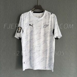 New Zealand Home 2026 FAN Version