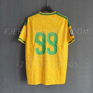 South Africa Home 2026 FAN Version