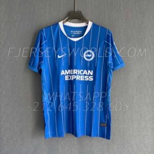 Brighton & Hove Albion Home 26-27 FAN Version