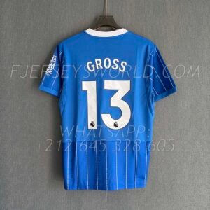Brighton & Hove Albion Home 26-27 FAN Version